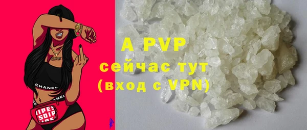 apvp Алексин