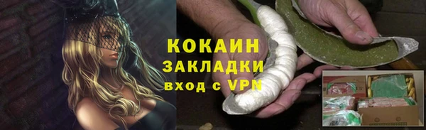 apvp Алексин