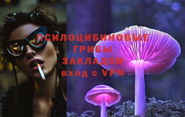 дмт Алексеевка