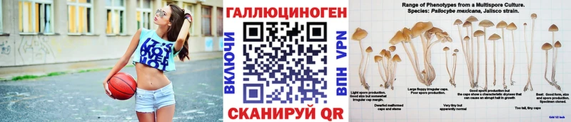 Псилоцибиновые грибы GOLDEN TEACHER Феодосия